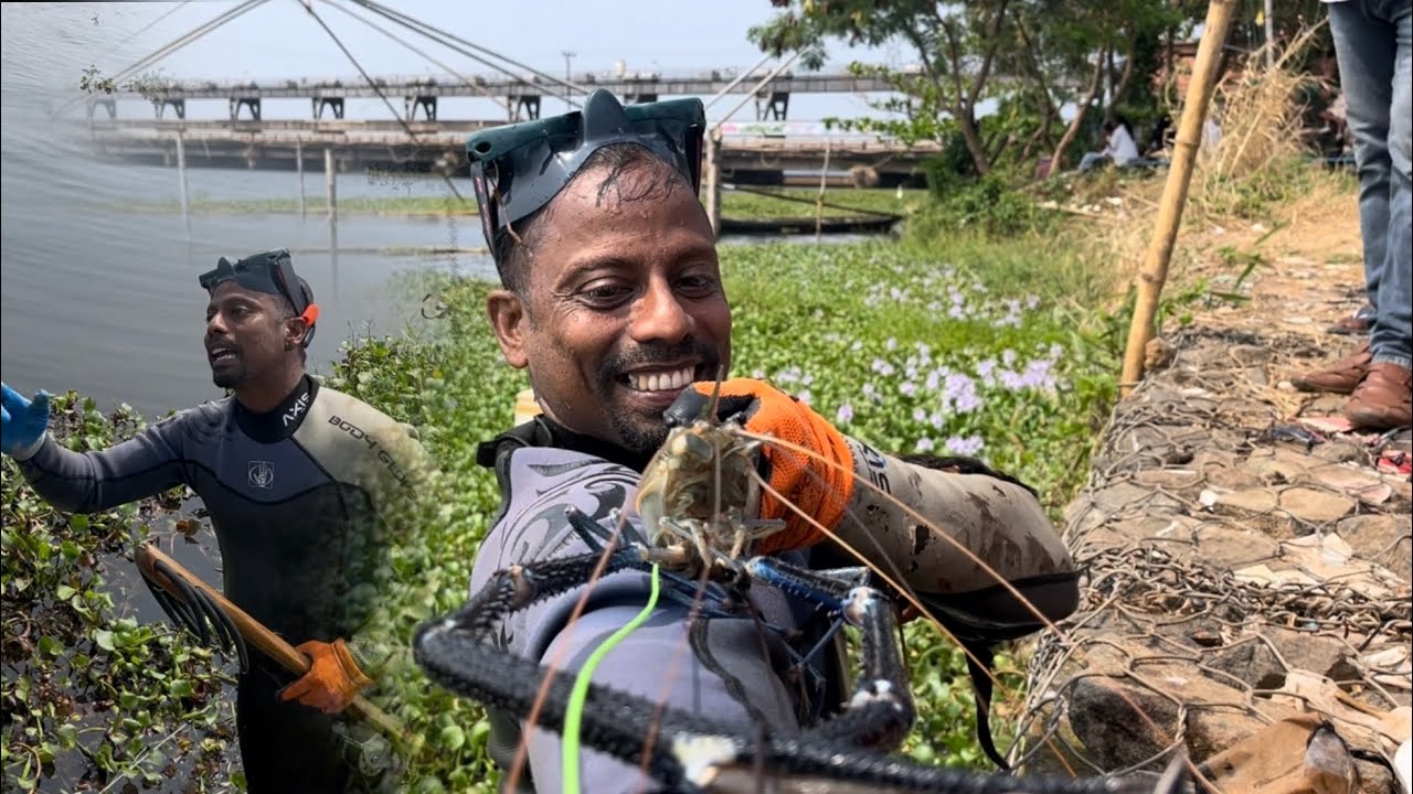 കണ്ണുകടി ഒരു ചില്ലറ രോഗമല്ല. .😬/Scampi Prawns..