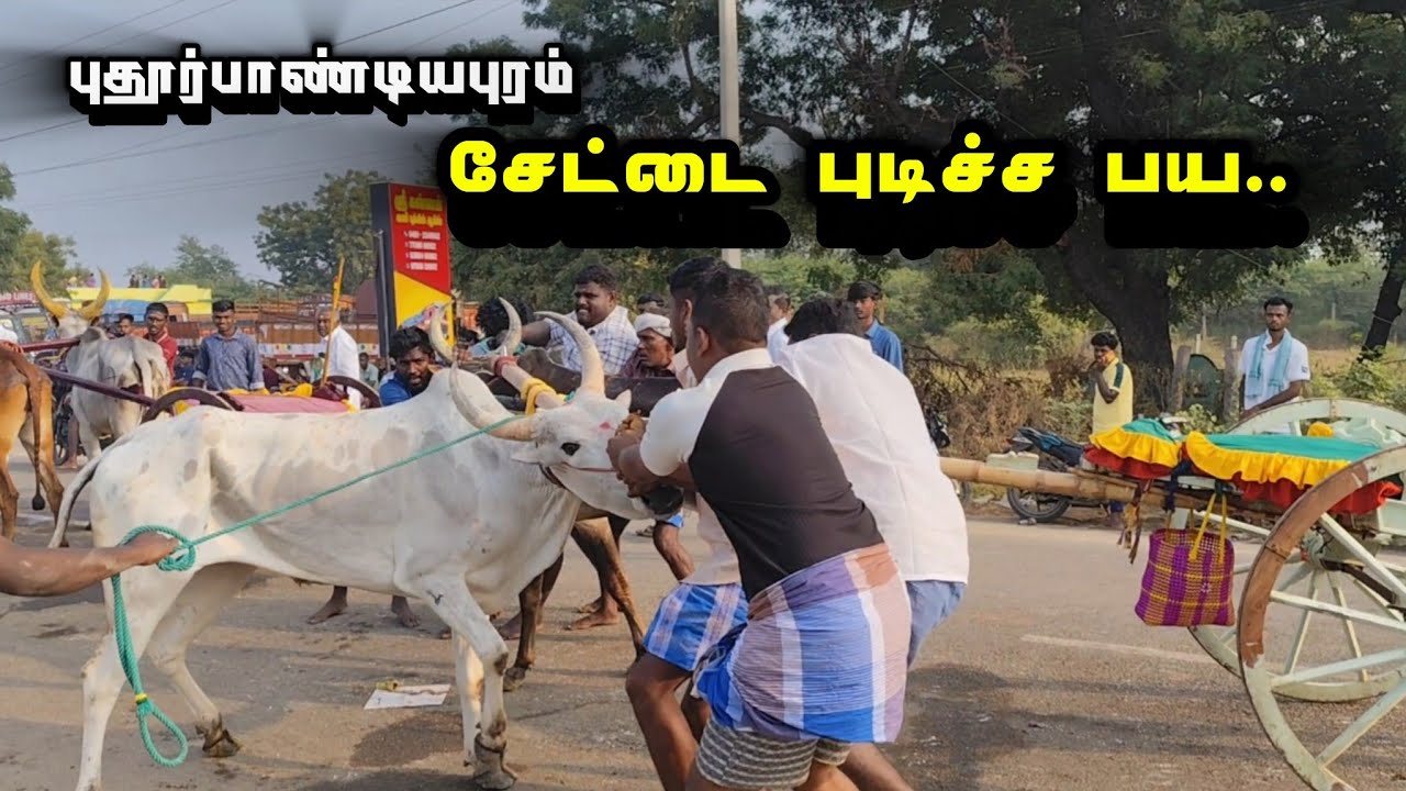 புதூர்பாண்டியபுரம் மாட்டு வண்டி பந்தயத்தில்... 😱 சேட்டை புடிச்ச பய.. 😨
