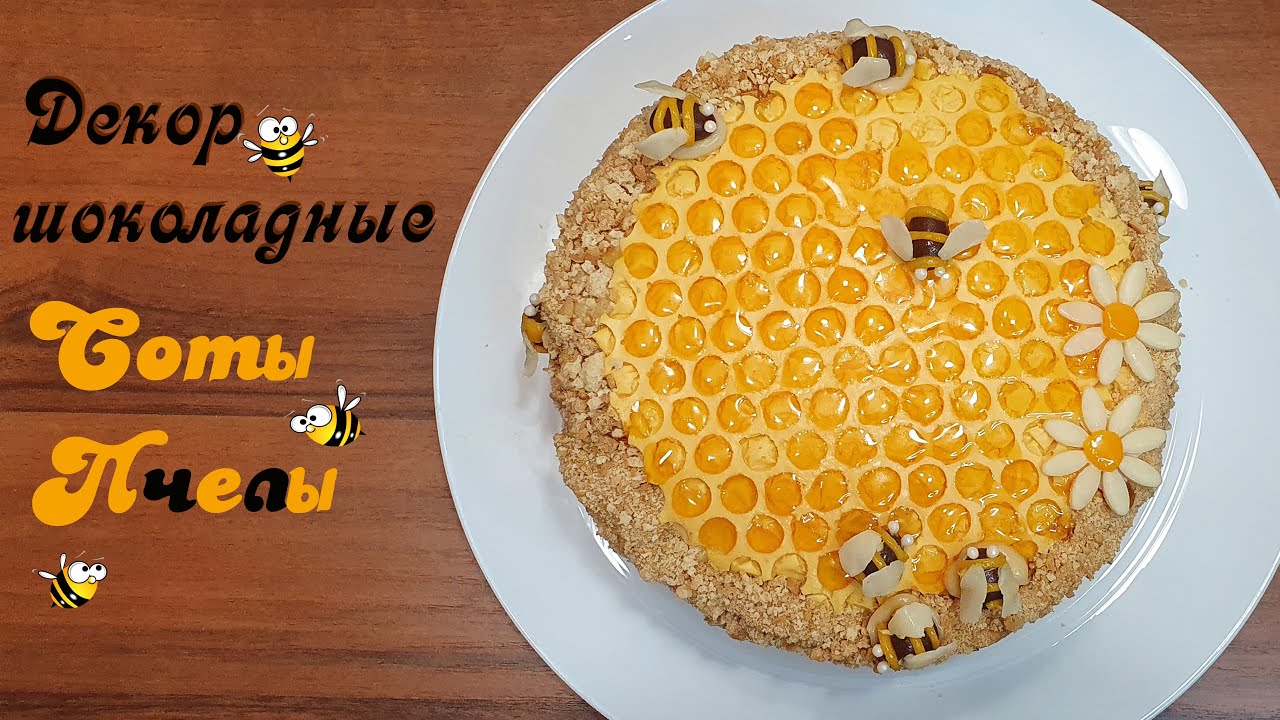 ШОКОЛАДНЫЙ ДЕКОР СОТЫ И ПЧЕЛЫ. Мастер-класс. Простой, эффектный красивый декор