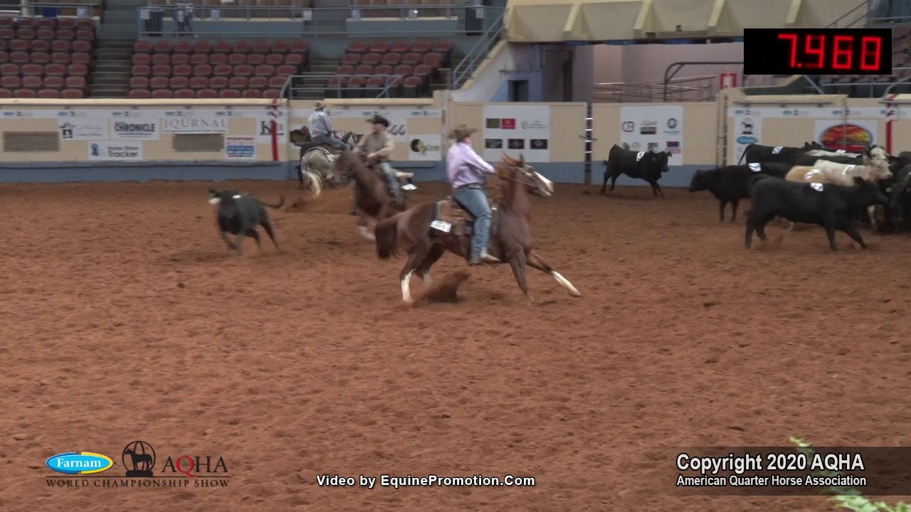 2020 AQHA Open Team Penning
