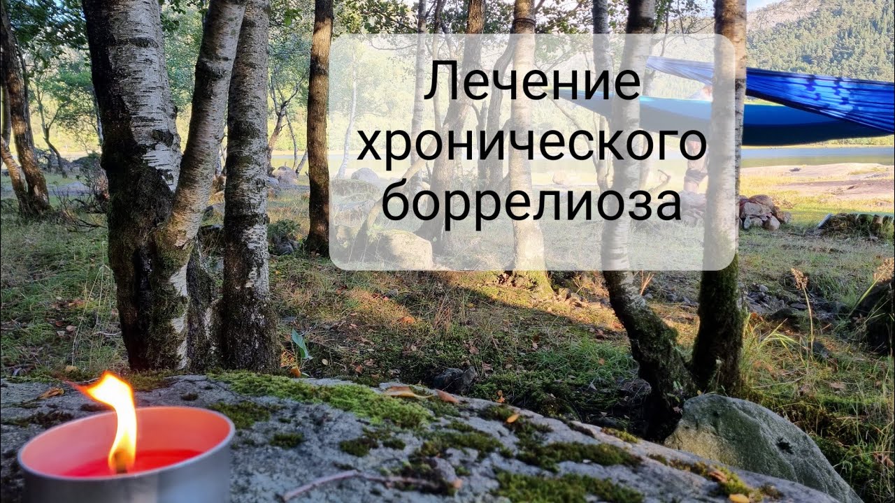Эффективность лечения Лайм боррелиоза. 23 способа.
