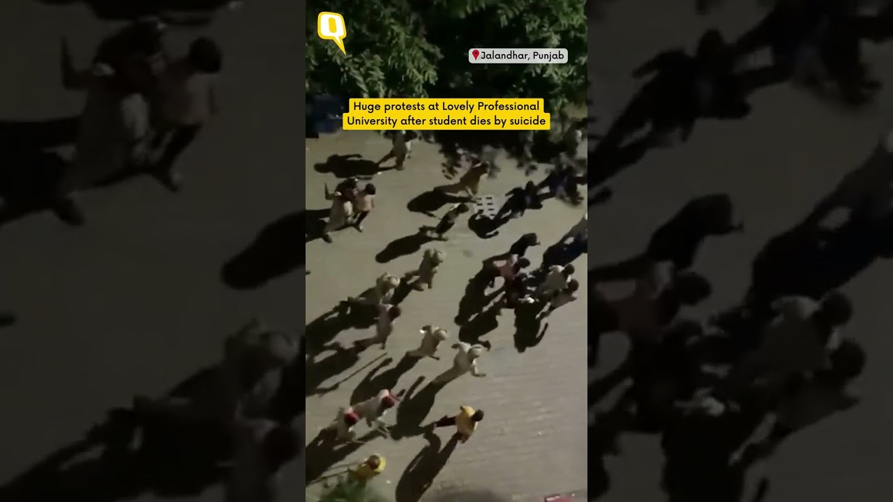 Lovely Professional University Student Dies by Suicide, Protests Erupt on Campus