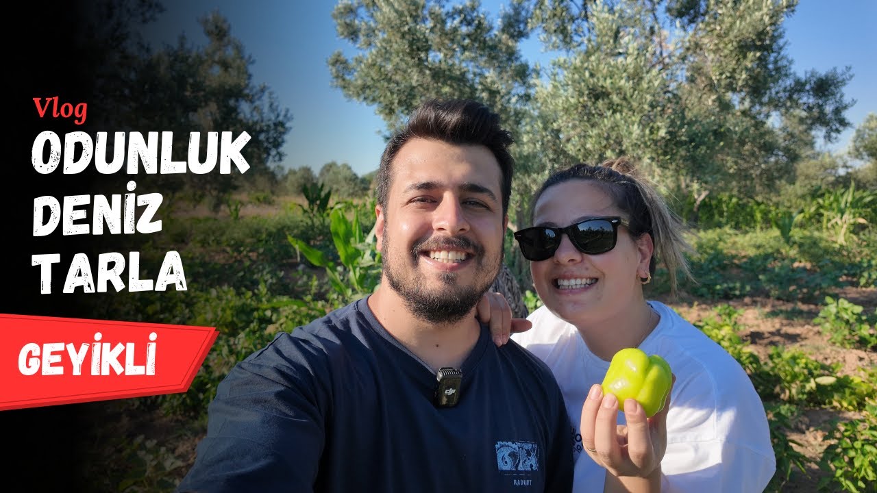 Çanakkale Geyikli’de Kısa Tatil Vlogu: Yeni İskele, Odunluk ve Taze Sebzeler İçin Tarla Turu