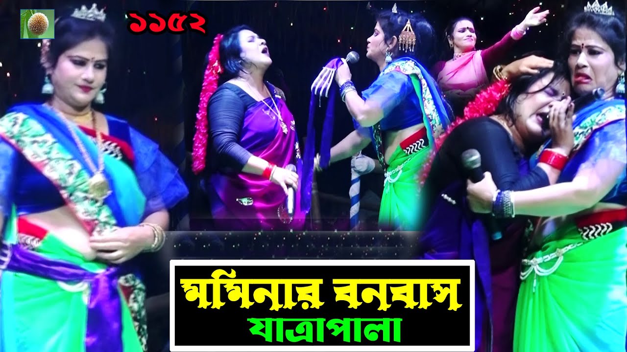 মমিনার বনবাস যাত্রাপালা পর্ব ০৪ -১১ ( jatra pala 1152) Mominar bonobas jatra pala। ঝুমুর যাত্রাপালা।