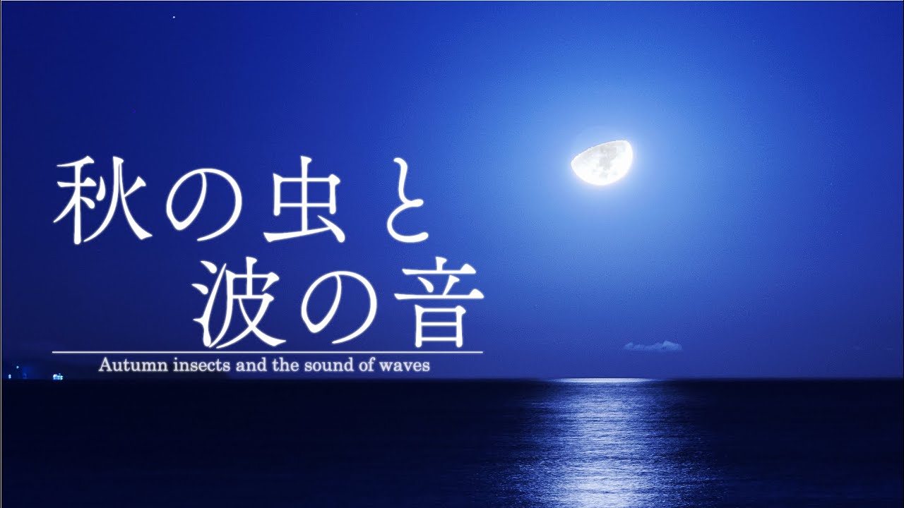 秋の虫と波の音【音散歩】