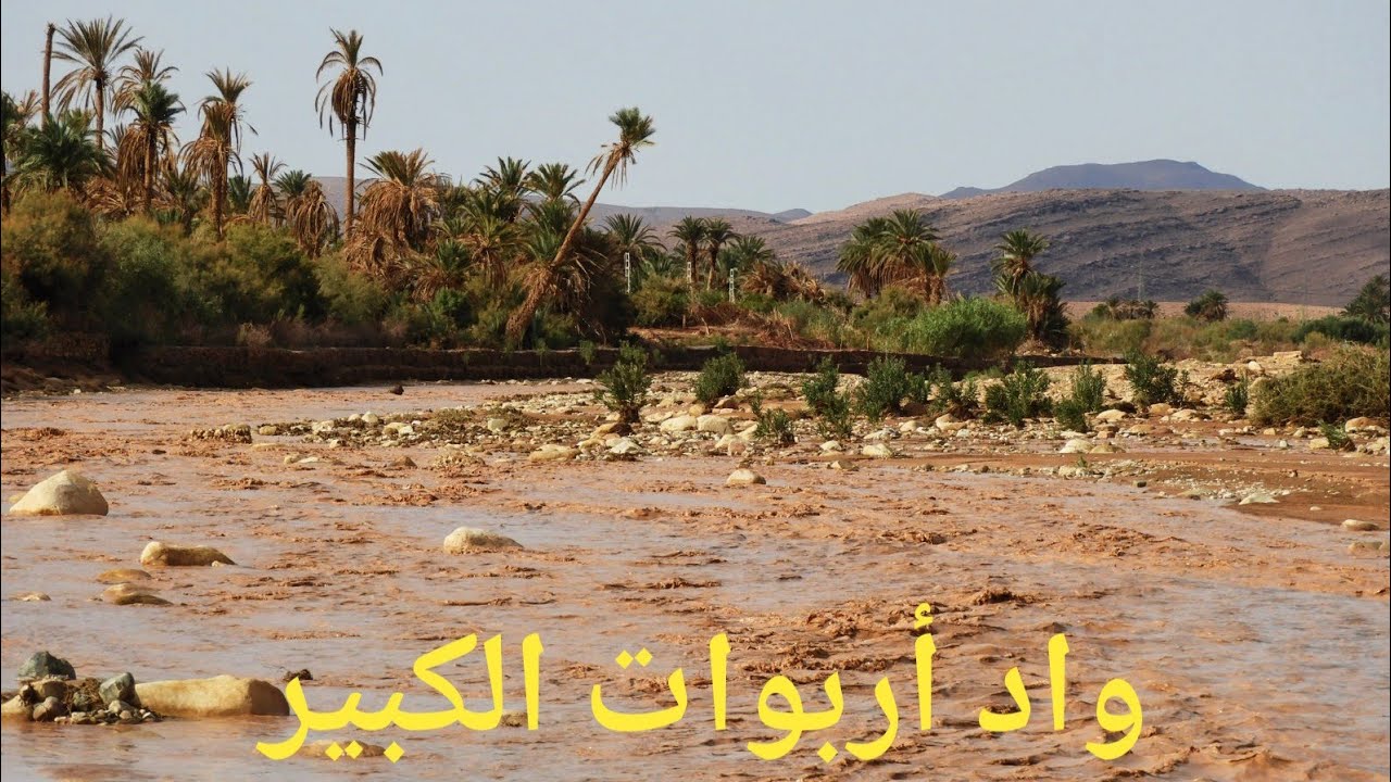 سيول وادي أربوات الكبير أكتوبر 2022