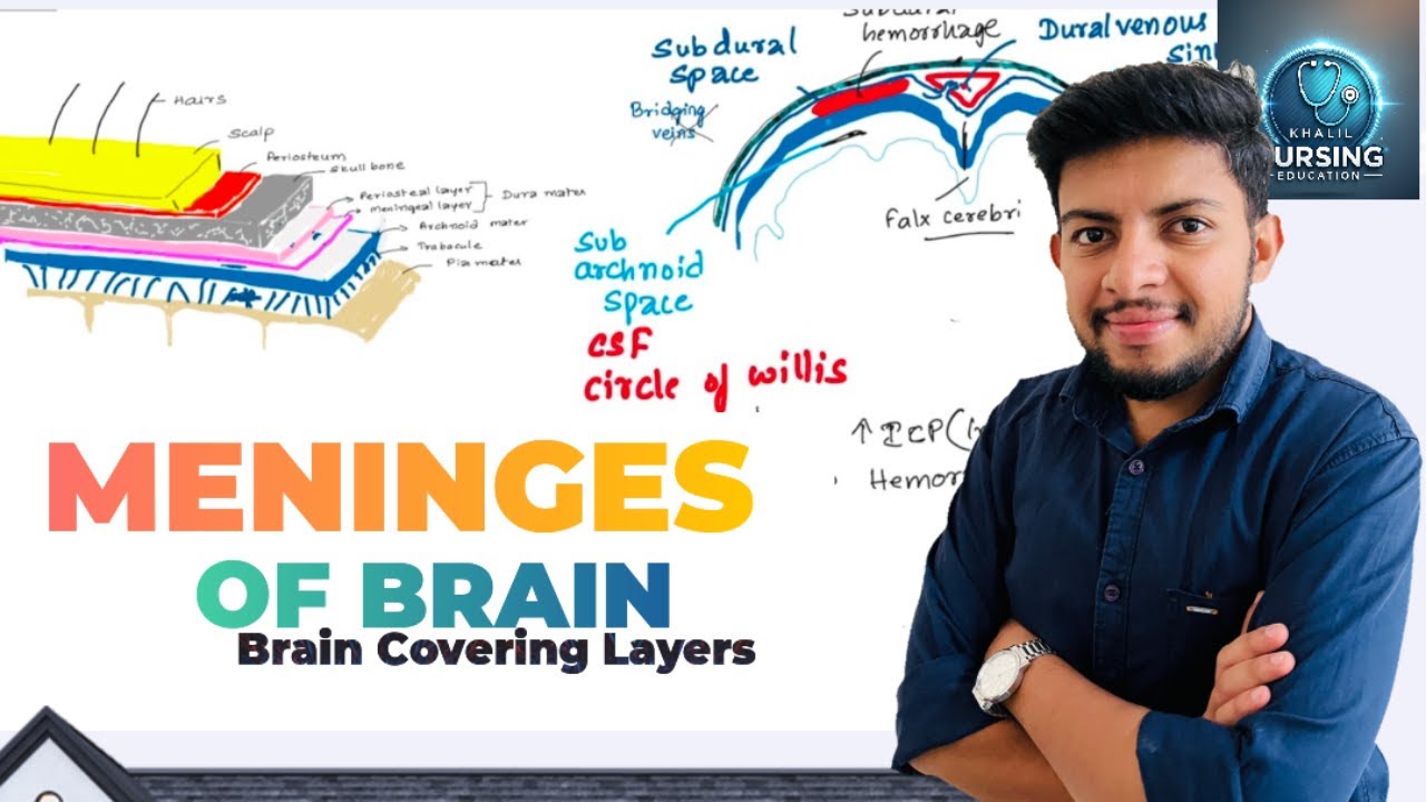 MENINGES OF BRAIN || Easy Way to Learn