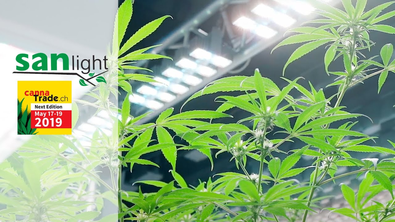 SANlight LED at Cannatrade Switzerland