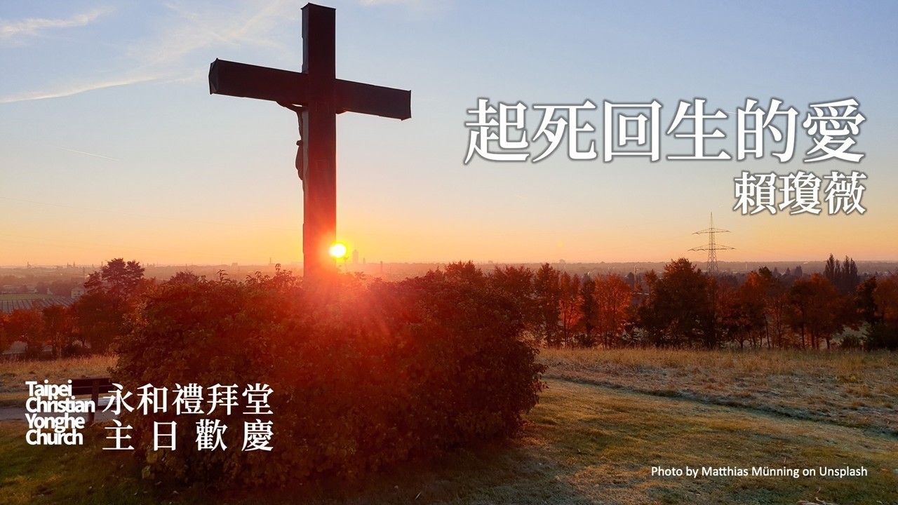 20260308  起死回生的愛 賴瓊薇