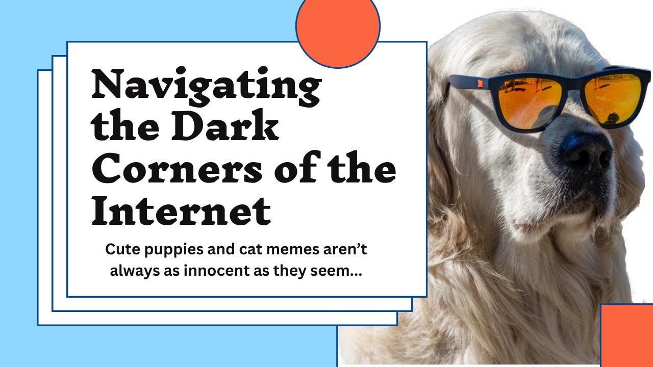 DS Tech Tips:  Navigating The Dark Corners Of The Internet