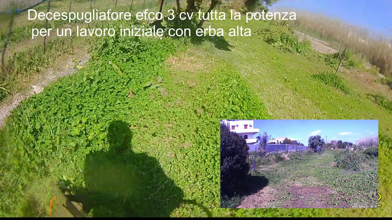 decespugliatore efco 3 cv in azione