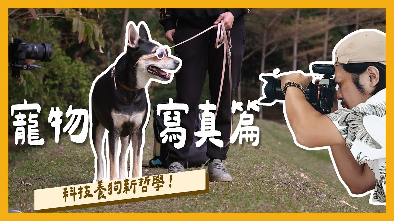 狗狗不看鏡頭怎麼辦？！6招教你打造寵物小明星！｜自己打造乖狗狗 全新篇章【科技養狗新哲學】｜PressPlay Academy｜feat. ＠DOGFACE寵物肖像工作室