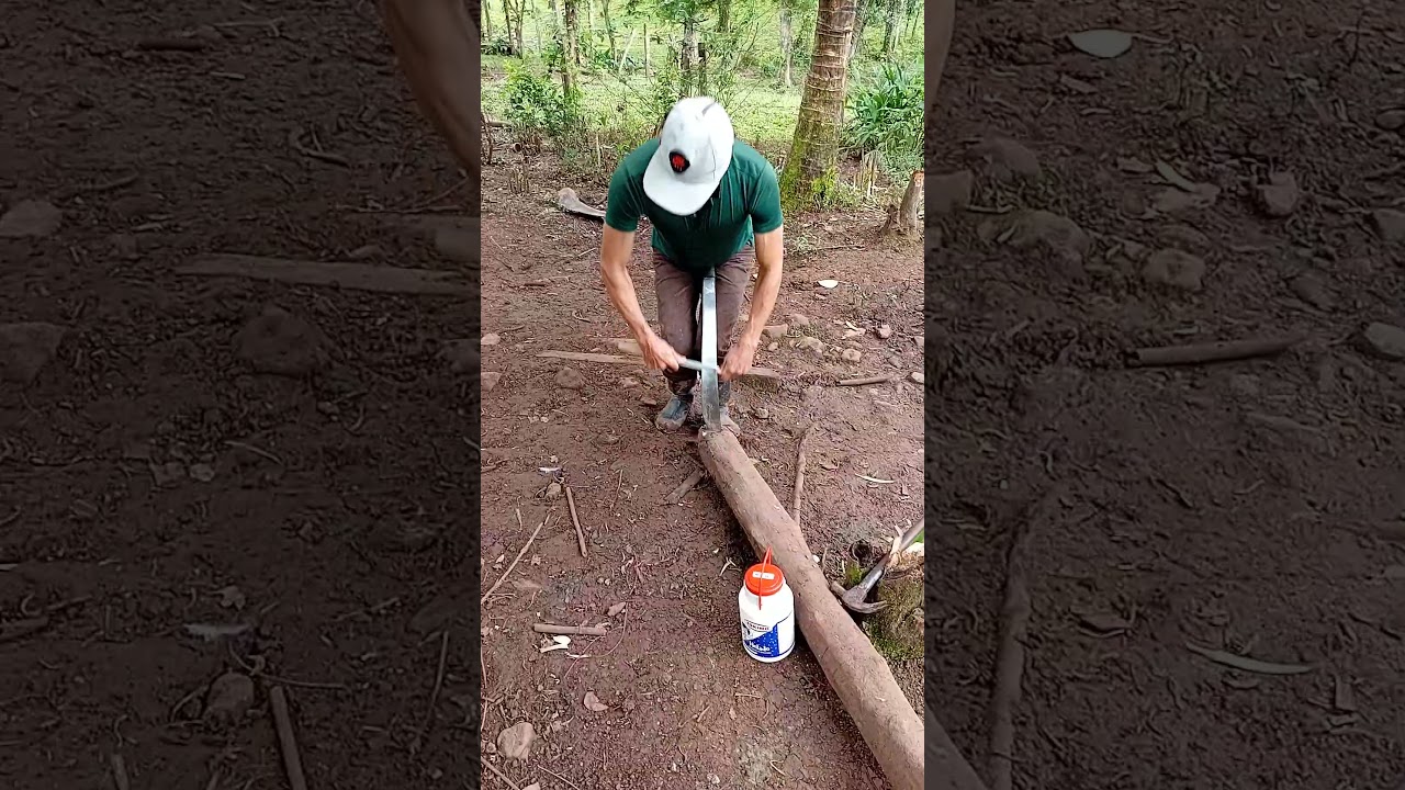 #humor