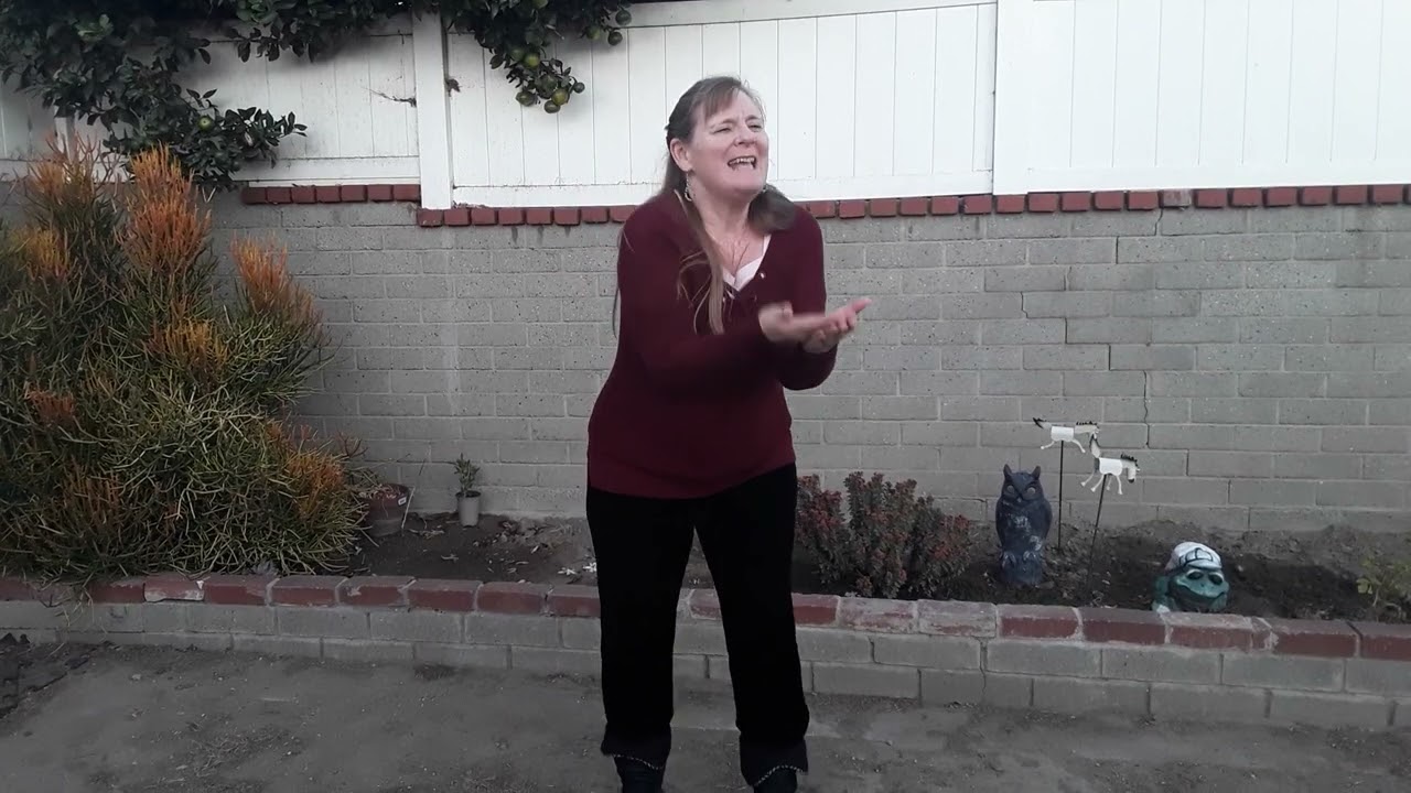 ASL Unstoppable Sia Sign Song