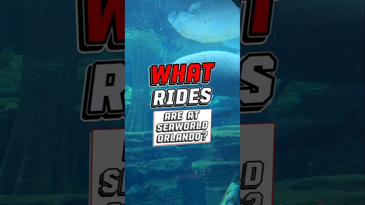 ALL RIDES at SeaWorld Orlando