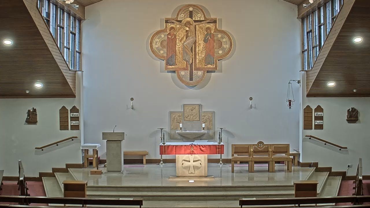 11am Sunday Mass 8.2.2026