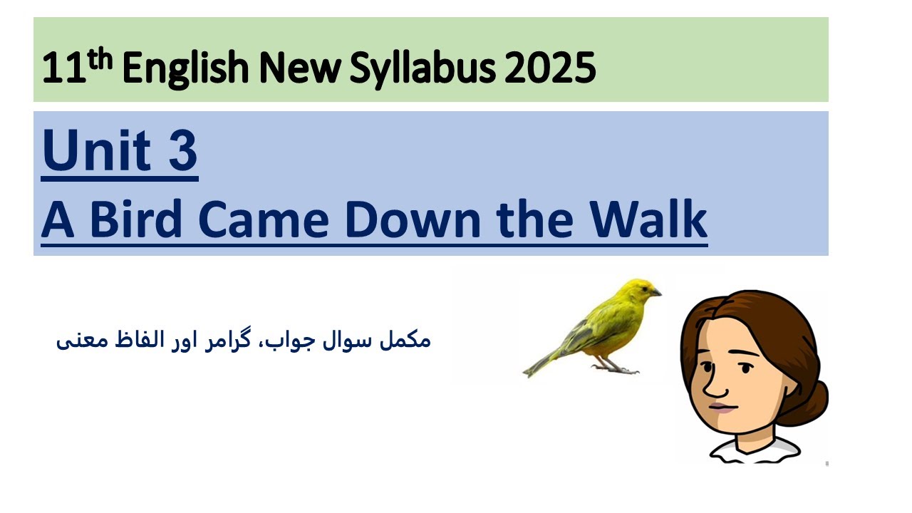 A Bird Came Down the Walk Complete Exercise | Grammar Explanation in Hindi| New English 2025