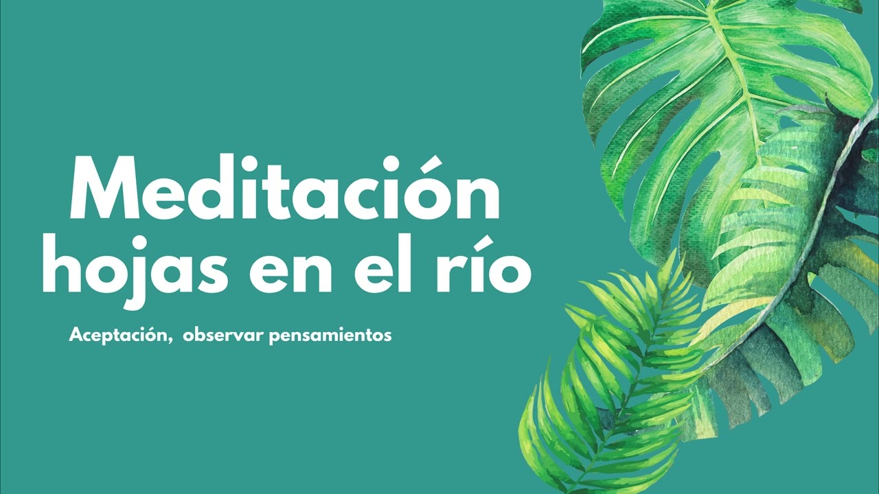 Meditación guiada para calmar mente | Hojas en el río 🍃 10 minutos