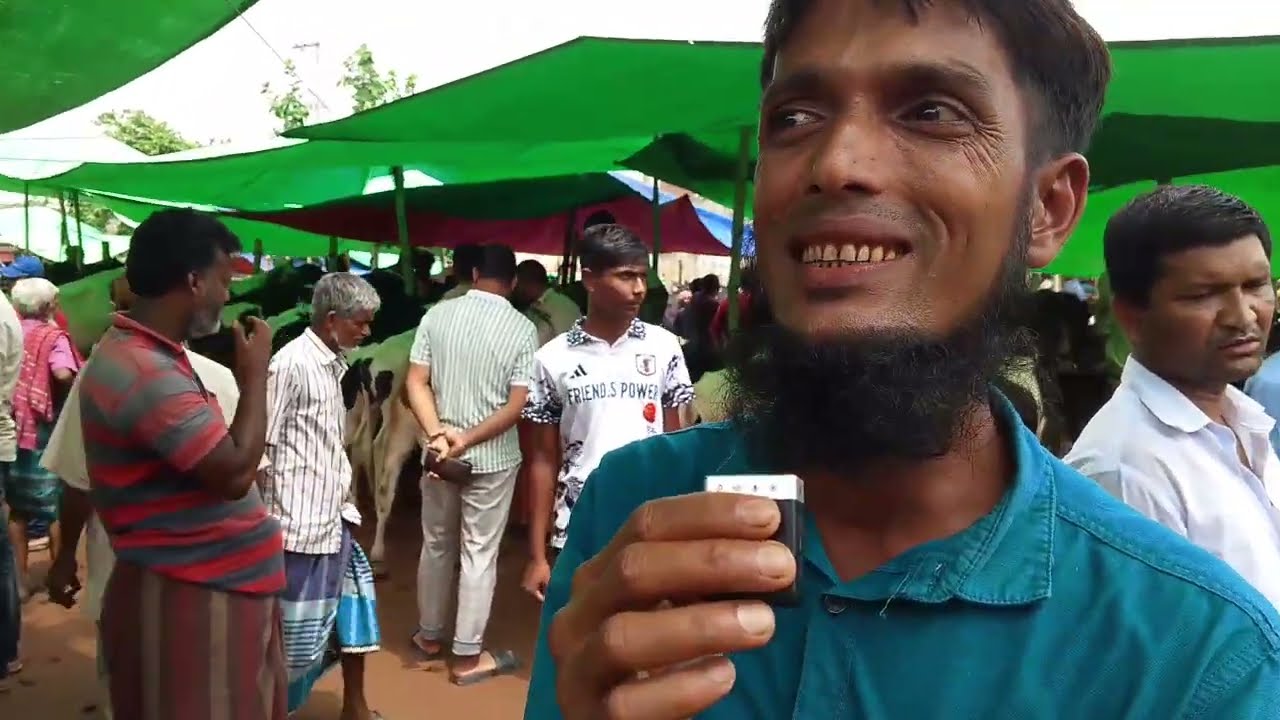 ক্রেতা অনেক কম বাছুর গরু কেনার এখনই সময় ঐতিহ্যবাহী কালামপুর হাট ধামরাই ঢাকা,