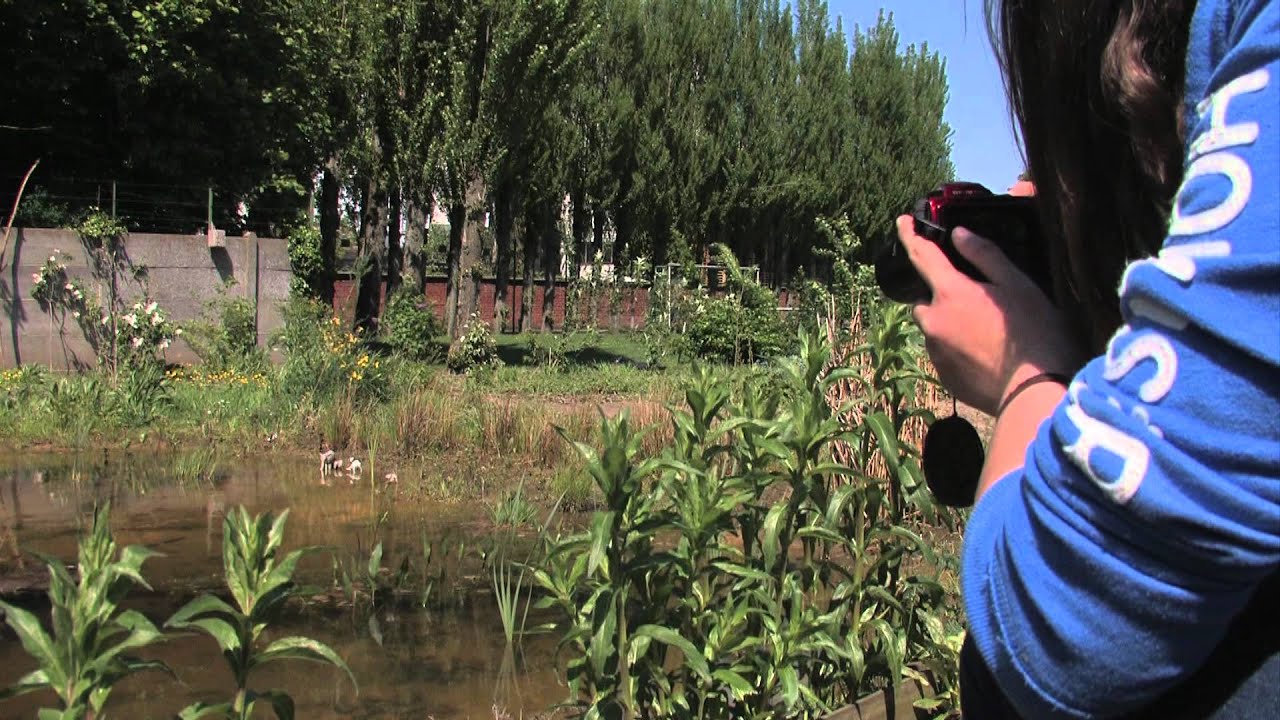 Leiepoort campus Sint-Hendrik Deinze - promotiefilmpje