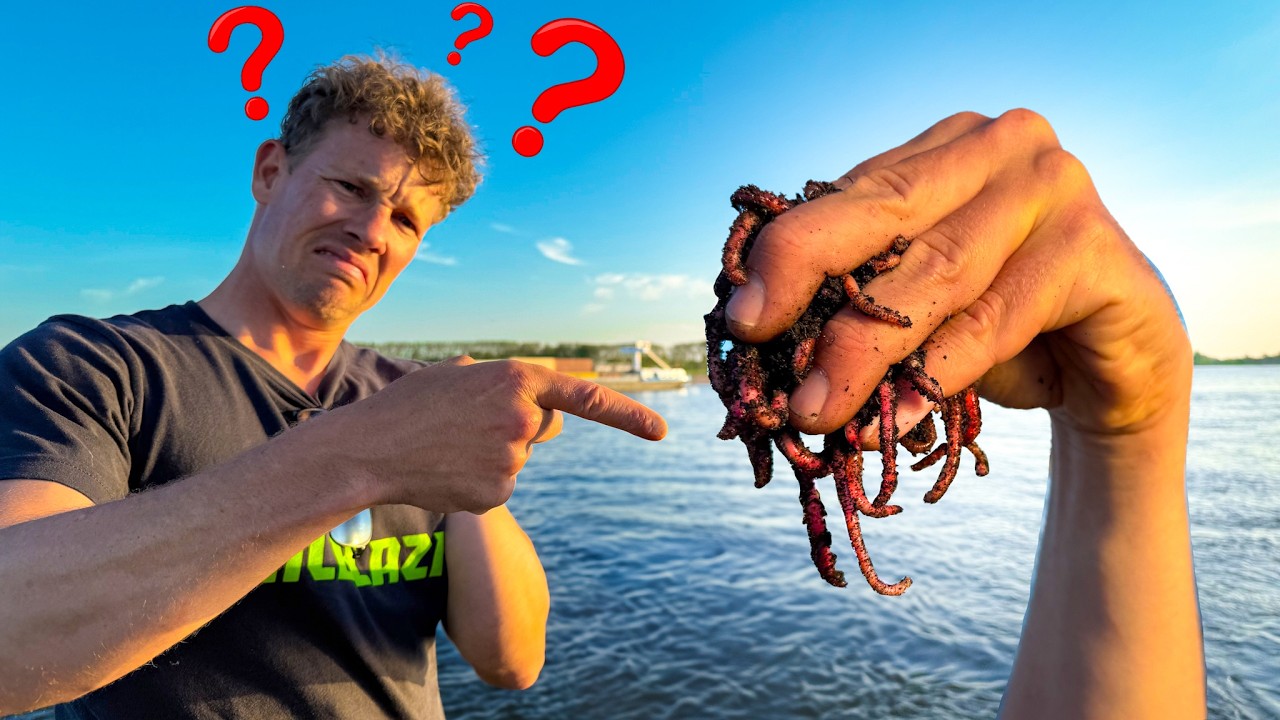 WELKE VISSEN VANG JE MET WORMEN OP DE RIVIER?!🤔
