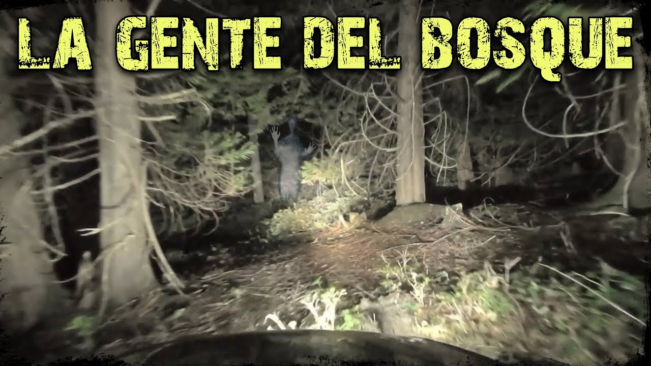 ¿Qué pasa en el bosque? ¿Missing 411? #missing411