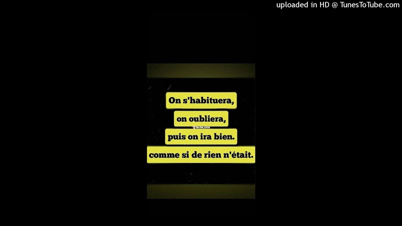 Raïdi de Puerto Rico _ le sens de la vie (audio) clip officiel