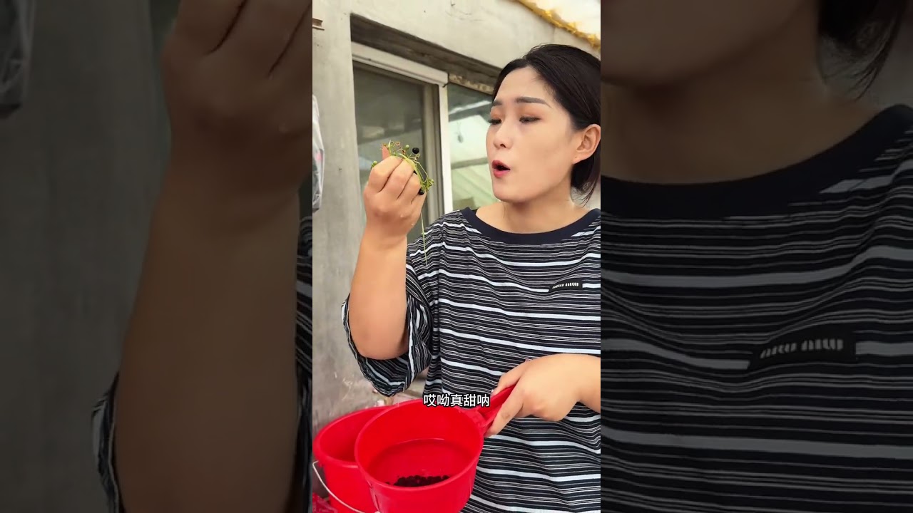 看看俺老婆婆做的麻辣香锅配点米饭这也太哇塞了！#记录我的农村生活
