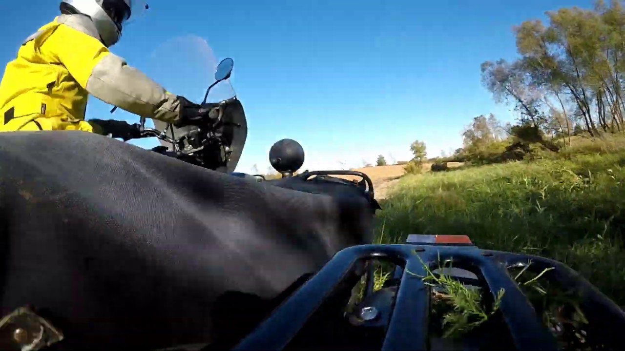 Ural Sidecar Woods Driving