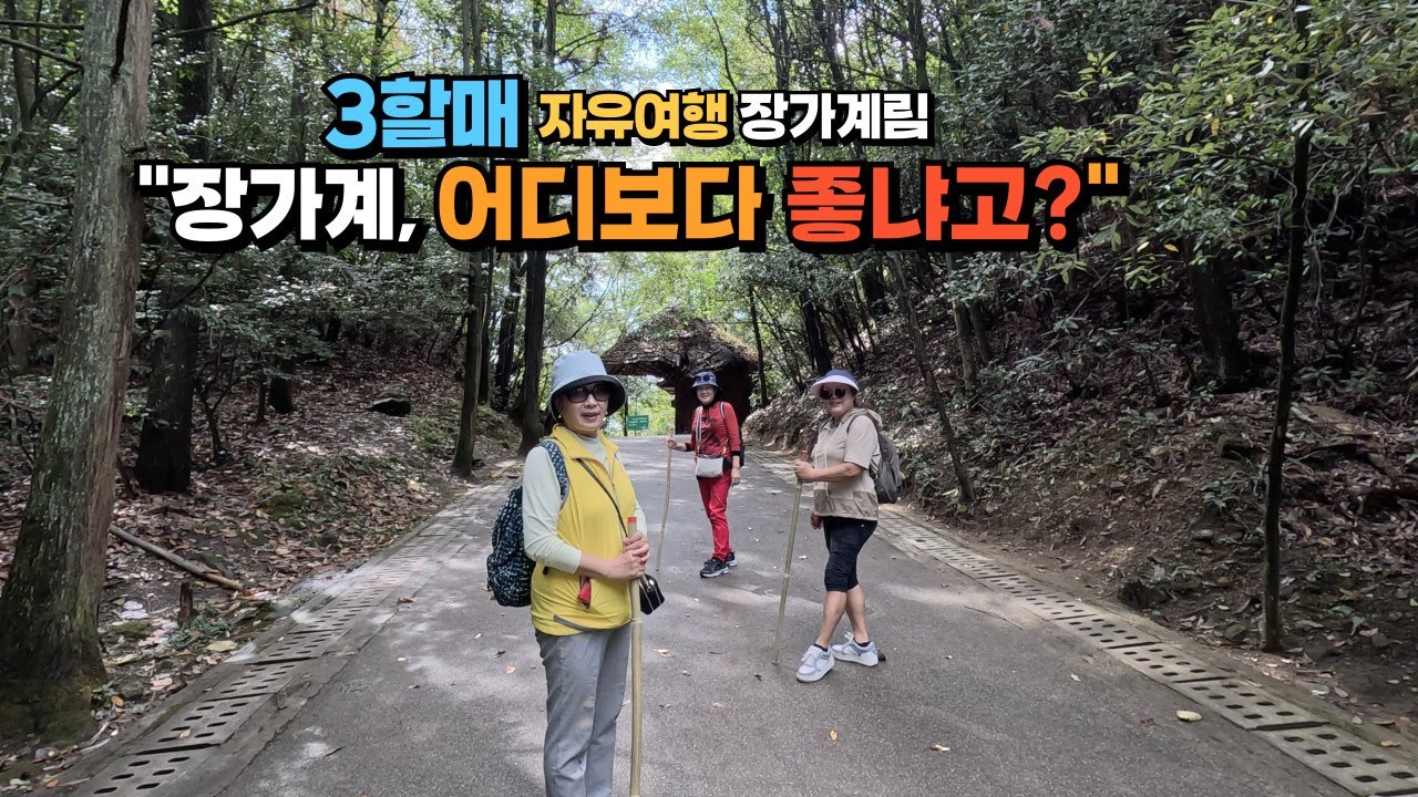 [3할매 자유여행 장가계] 장가계가 어디보다 좋냐구? 장가계 천자산, 원가계, 미혼대, 천하제일교, 양가계, 백룡엘리베이터