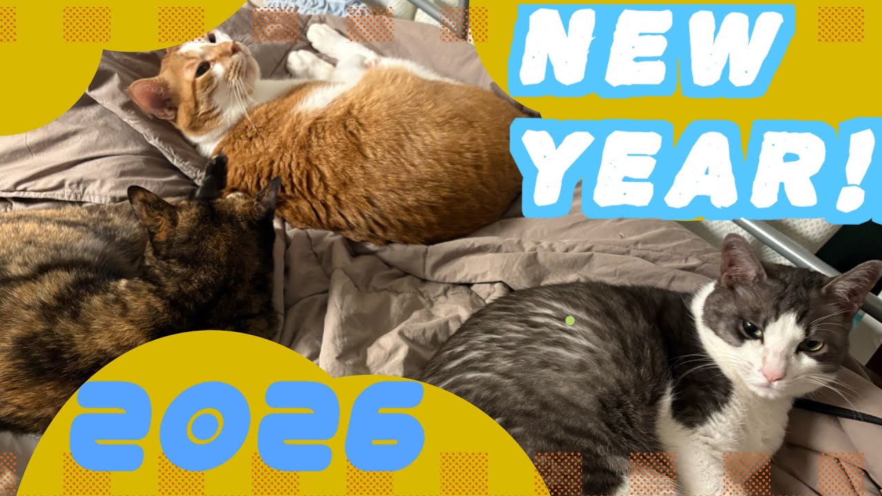 20260101明けましておめでとうございます