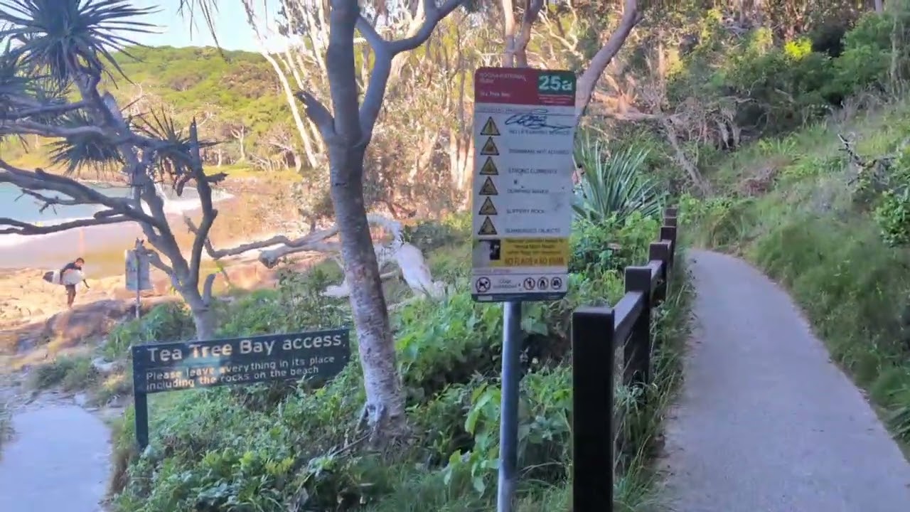 Relaxing Walk Through Noosa National Park