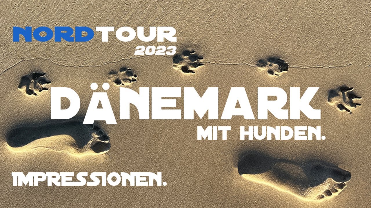 Dänemark/Westküste/Mit Hunden/Impressionen ohne viel  Bla Bla.