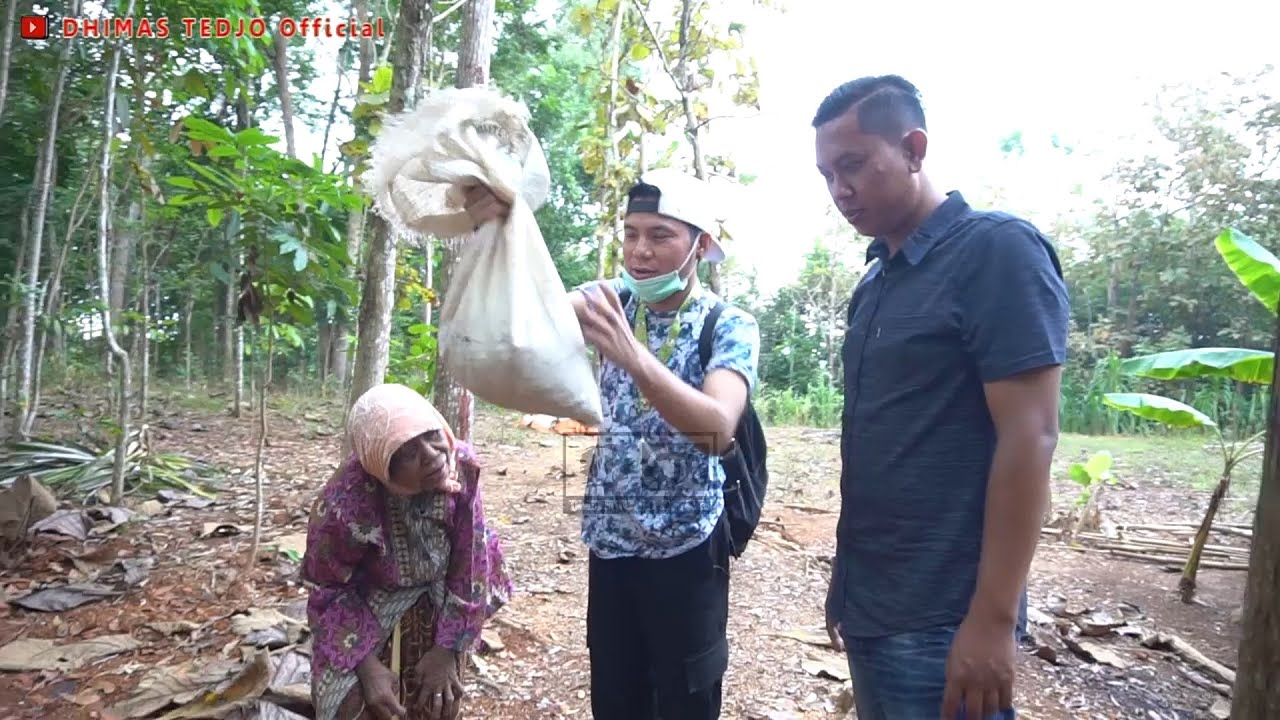 DIMAS TEDJO | MBORONG MAHONI | Ikuti keseruan Mbah Juminten bersama DHIMAS TEDJO mencari Biji Mahoni