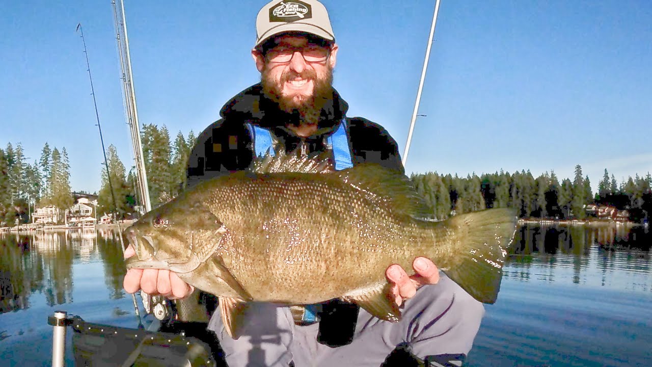 Smallmouth Feeding Frenzy! 95.5” Monster Bag | KFNW Season Long Tournament