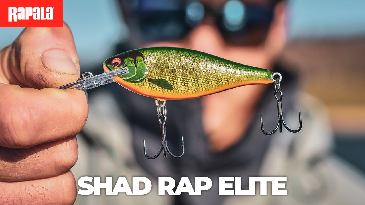 Shad Rap Elite 75 | Rapala®