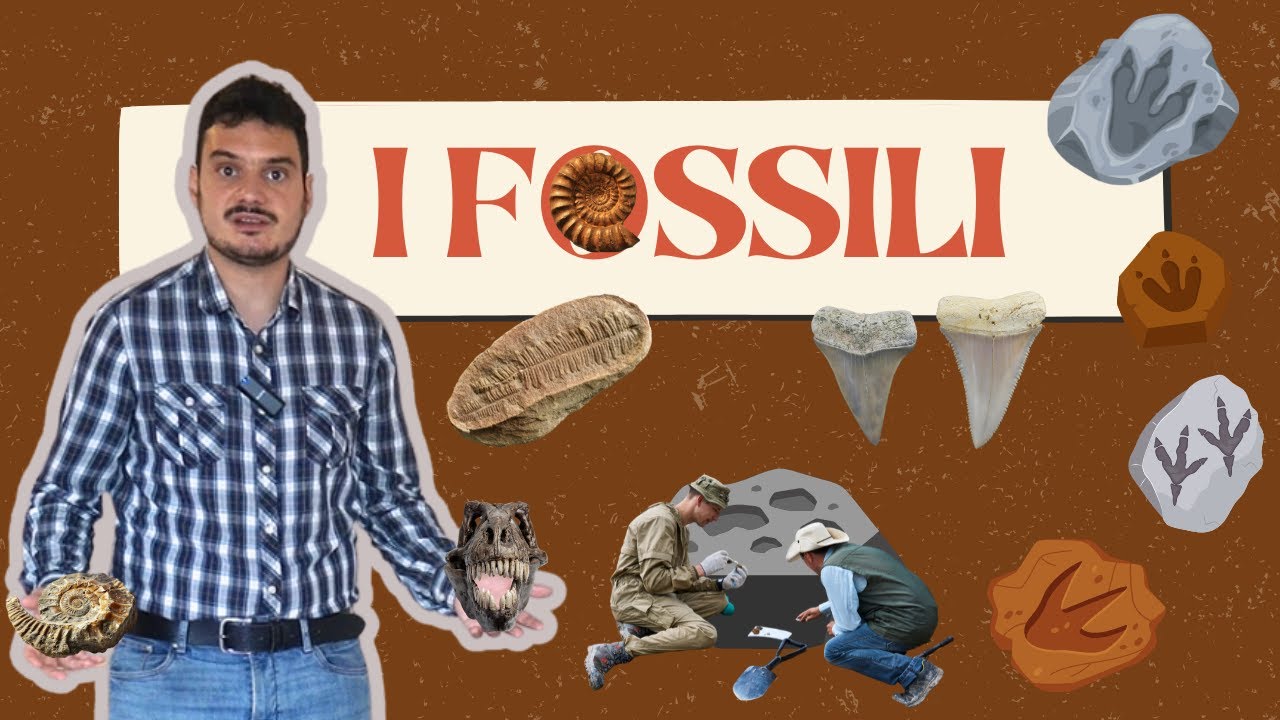 I FOSSILI - La STORIA spiegata FACILE