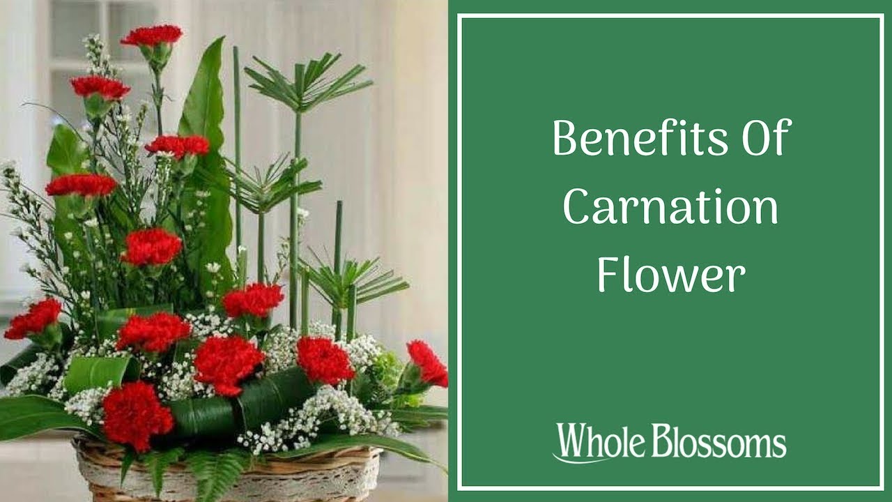 Find the Advantages of Using the Carnation Flowers for Your Wedding Decor
