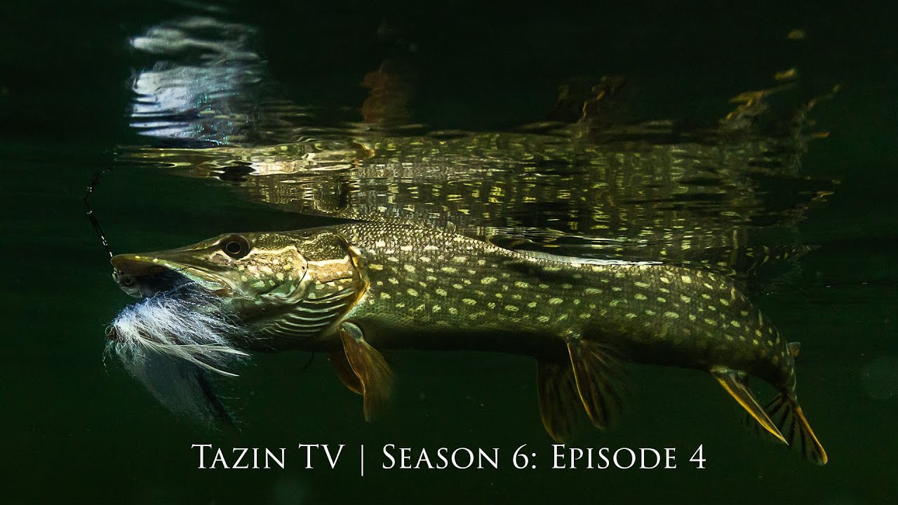 Casting For Big Pike at Saskatchewan's Tazin Lake