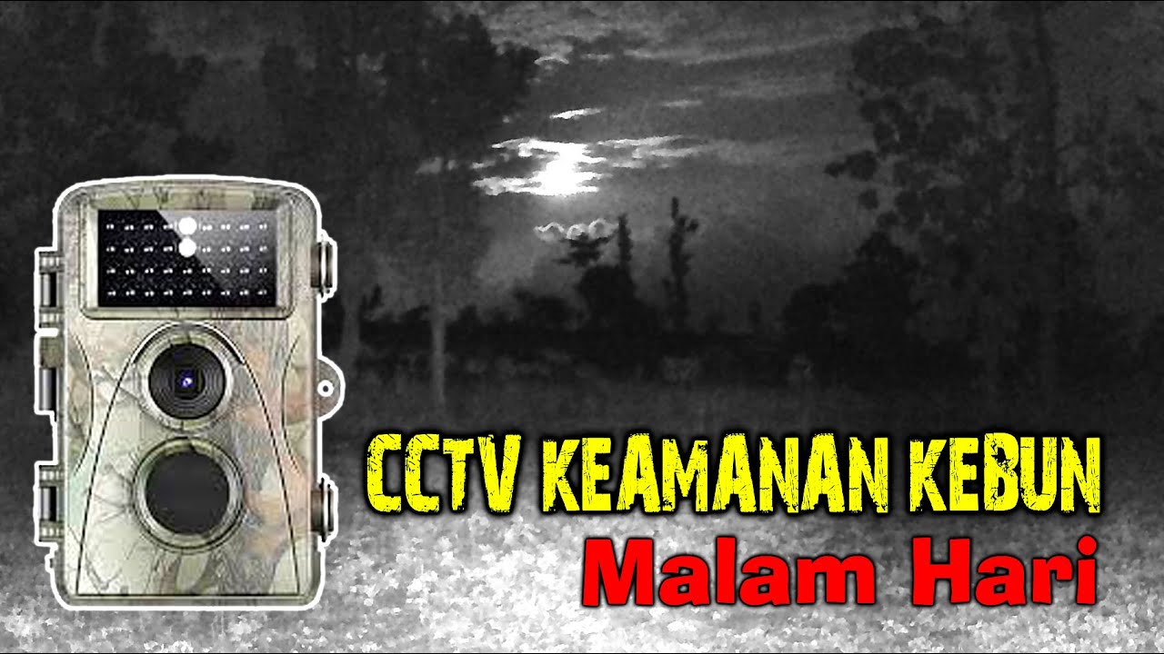 CCTV anti M4LYNG Untuk KEBUN