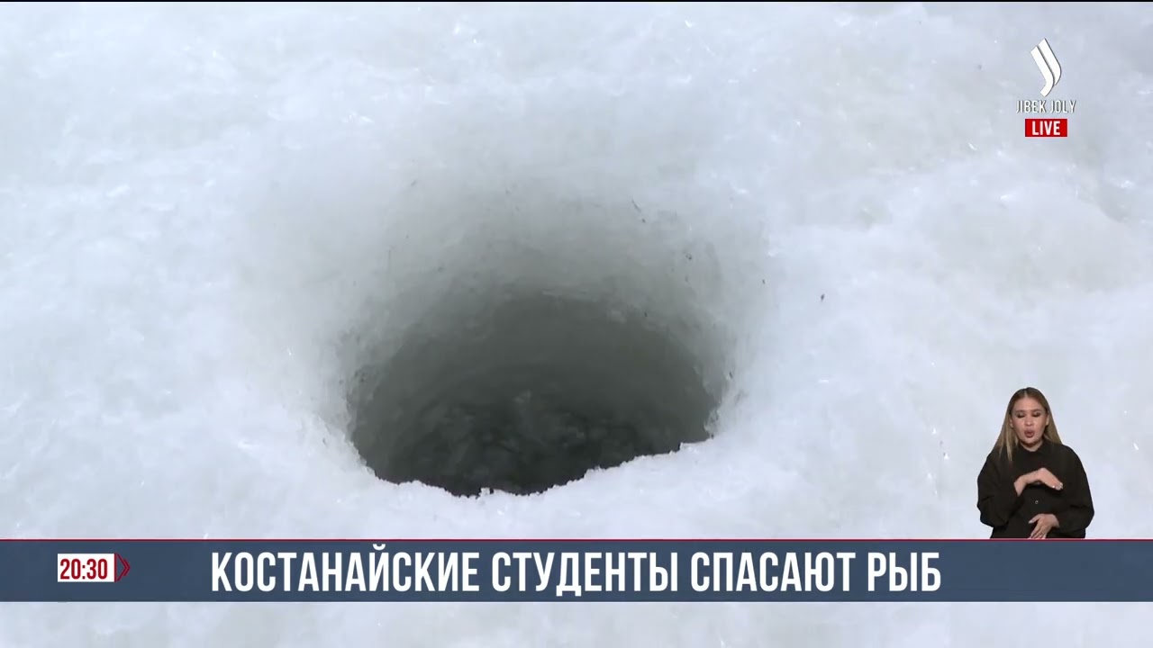 Костанайские студенты спасают рыб | Jibek Joly News