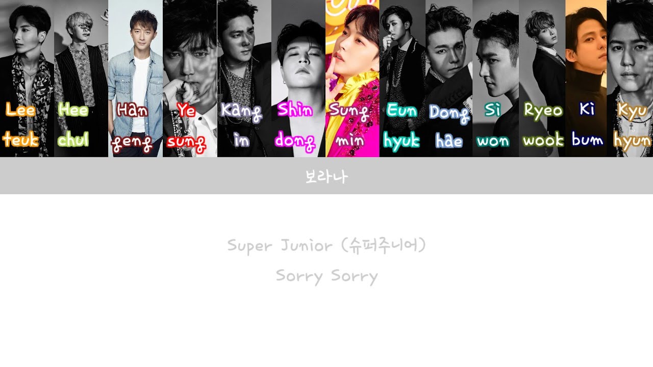 [Lyrics/가사] Super Junior (슈퍼주니어) - Sorry Sorry