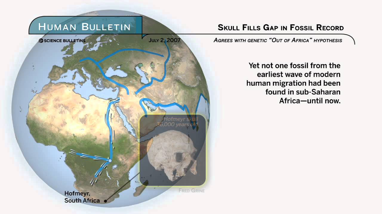 Science Bulletins: Skull fills Gap in Fossil Record