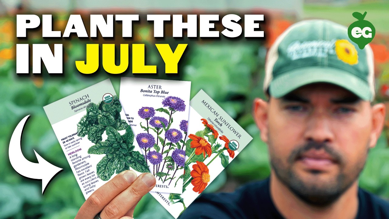 11 Crops You Can STILL Plant in July 🌱