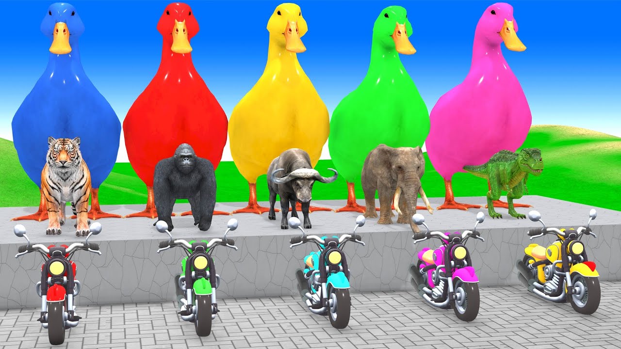 Long Slide Game With Cow Elephant Gorilla Hippopotamus Tiger 3d Animal Game Funny 3d Animals