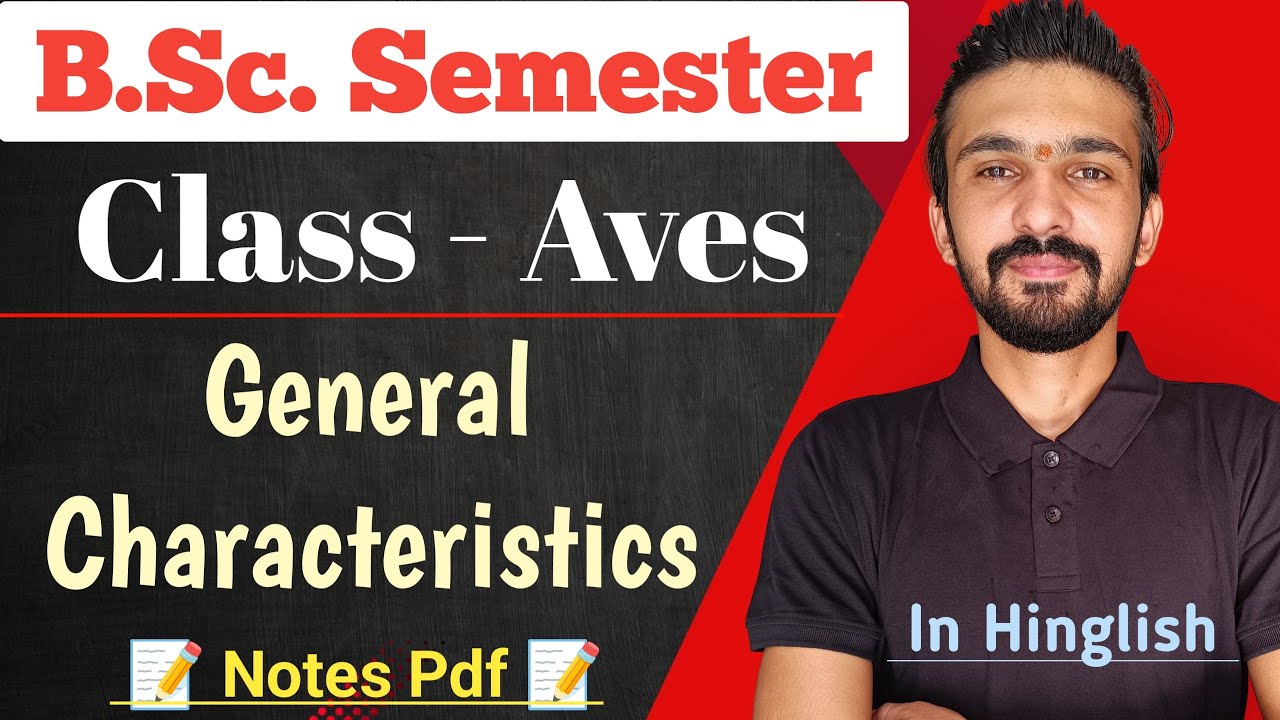 Aves General Characteristics || Class - Aves || Bsc Semester || By Dadhich Sir