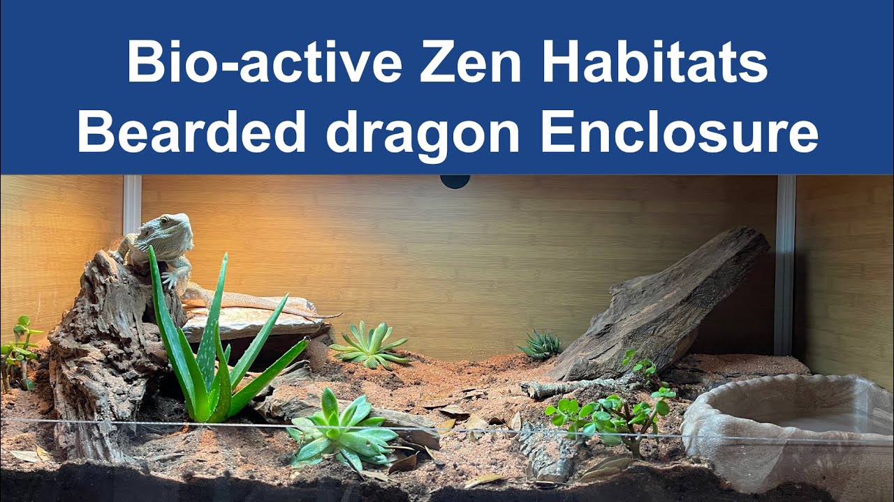Zen Habitats - Bio-active Bearded Dragon Build