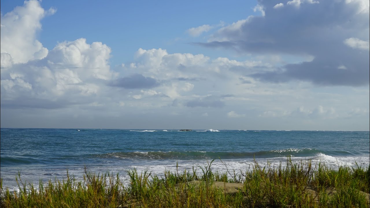 Beautiful Daytime Ocean Waves 🌊 | Calm Beach Relaxation & Natural Sea Sound
