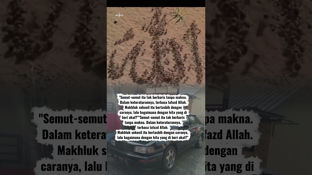 Tanda kekuasaan Allah 👇👇 #subscribe #automobile #coversong #emotionalcover #sadcoversong #fyp