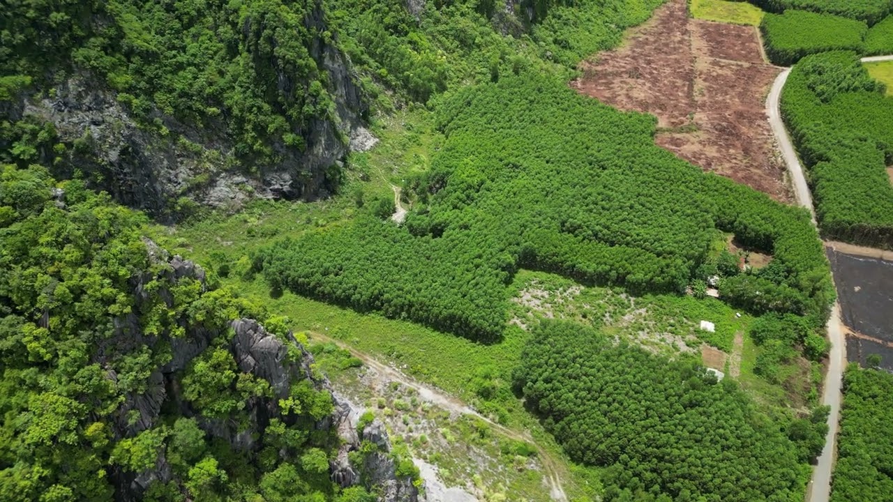 Phong NHA, Bố Trạch, Quảng Bình 47257, Vietnam 3